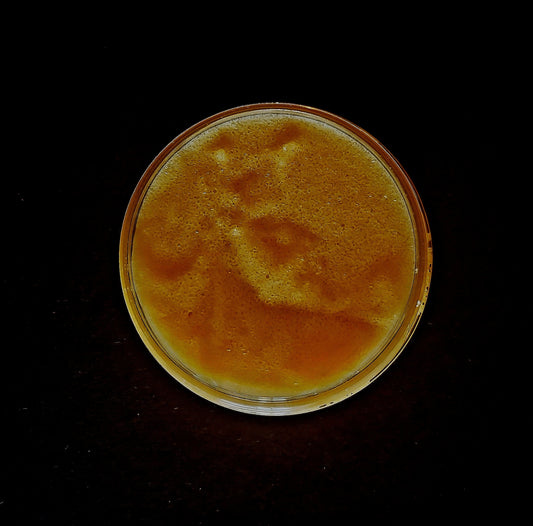 GRAPEFRUIT & MANDARIN SUGAR SCRUB